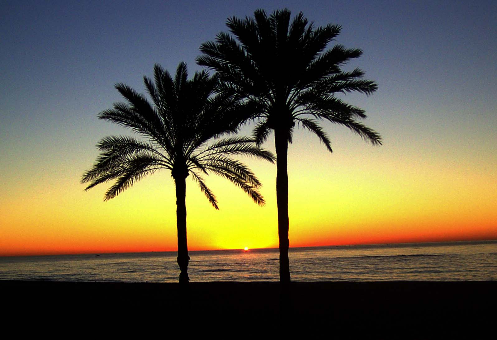 Estepona