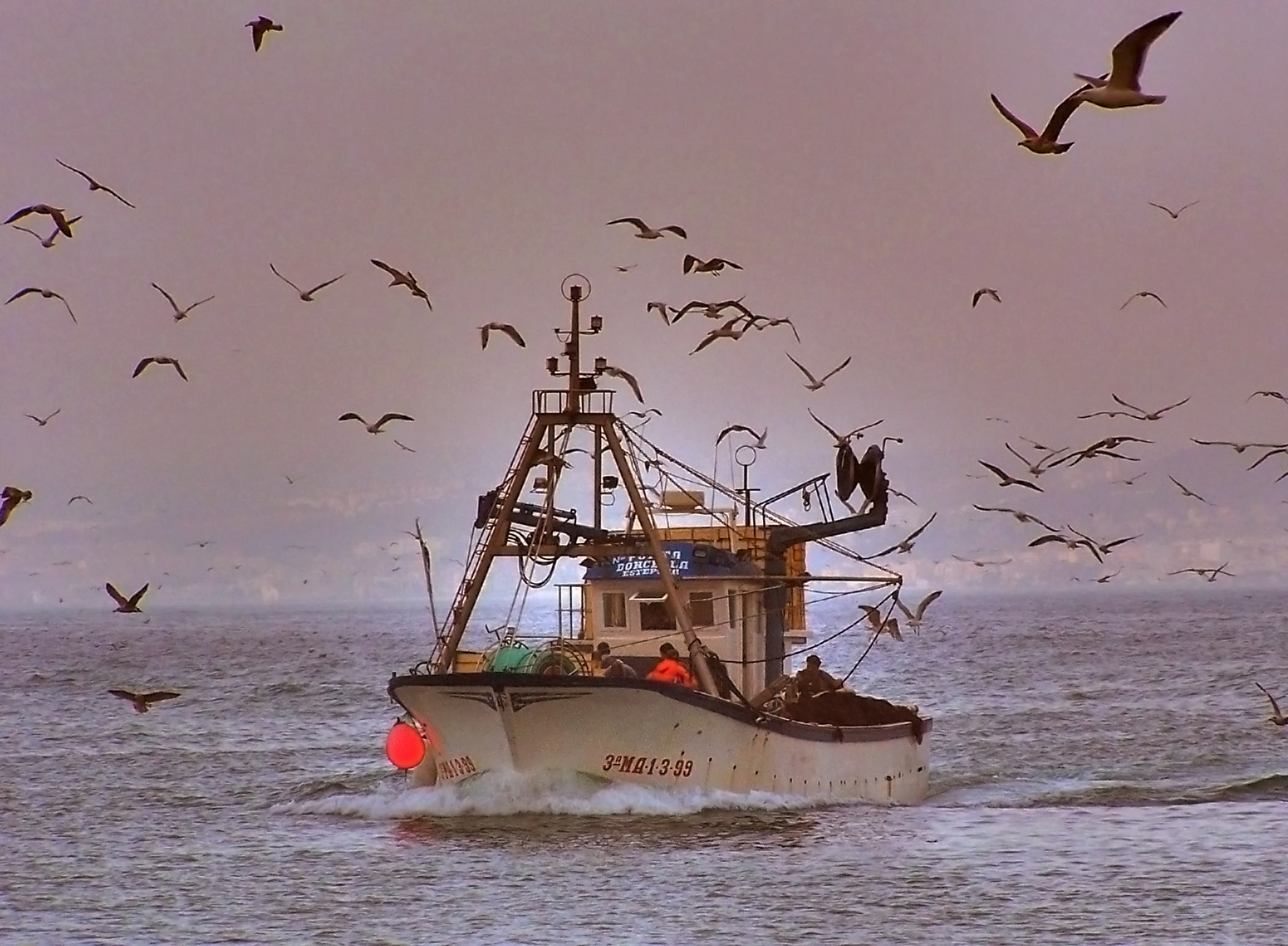 pesca